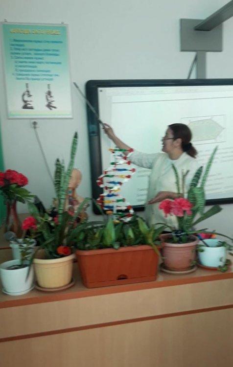 " Бала- басты байлығымыз, ал ең асылымыз- оның тәрбиесі"