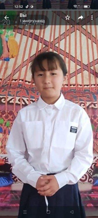 "МӘҢГІЛІК ЕЛ - МӘРТЕБЕЛІ ТІЛ"