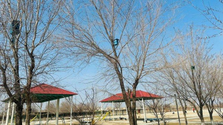 “Біз болашақ баламыз, құстарға ұя саламыз“